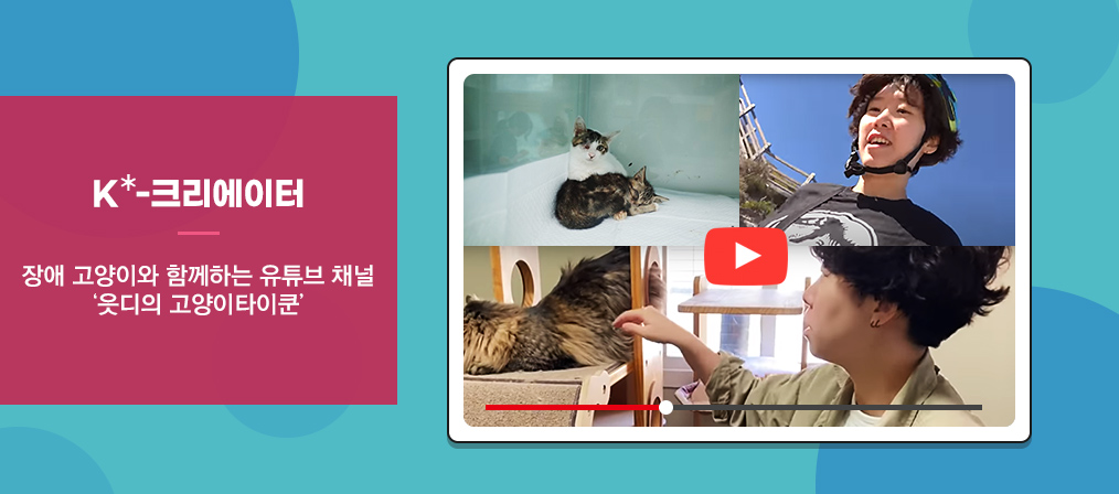 K-크리에이터 장애 고양이와 함께하는 유튜브 채널 ‘읏디의 고양이타이쿤’