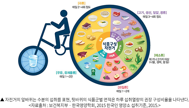 자전거의 앞바퀴는 수분의 섭취를 표현, 뒷바퀴의 식품군별 면적은 하루 섭취열량의 권장 구성비율을 나타낸다. 자료출처 : 보건복지부 · 한국영양학회, 2015 한국인 영양소 섭취기준, 2015.