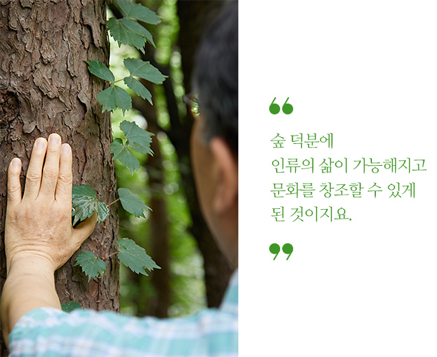 숲 덕분에 인류의 삶이 가능해지고 문화를 창조할 수 있게 된 것이지요.