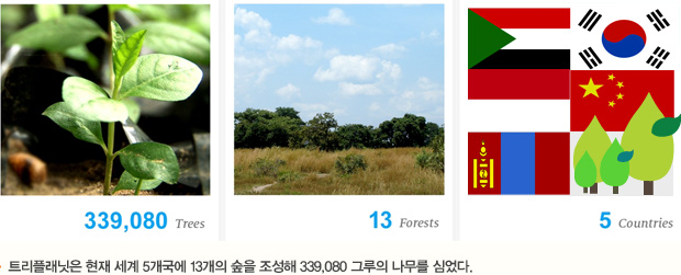 트리플래닛은 현재 세계 5개국에 13개의 숲을 조성해 339,080 그루의 나무를 심었다.